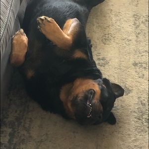 Meet your Posher, Melissa